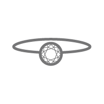 Category rings Down Icon