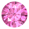 Rosa Saphir